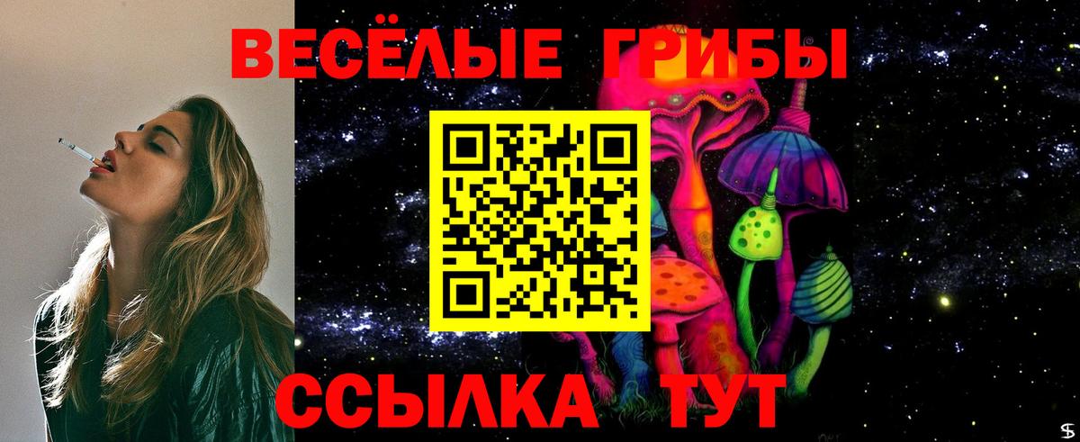 Псилоцибиновые грибы Cubensis Мариинск