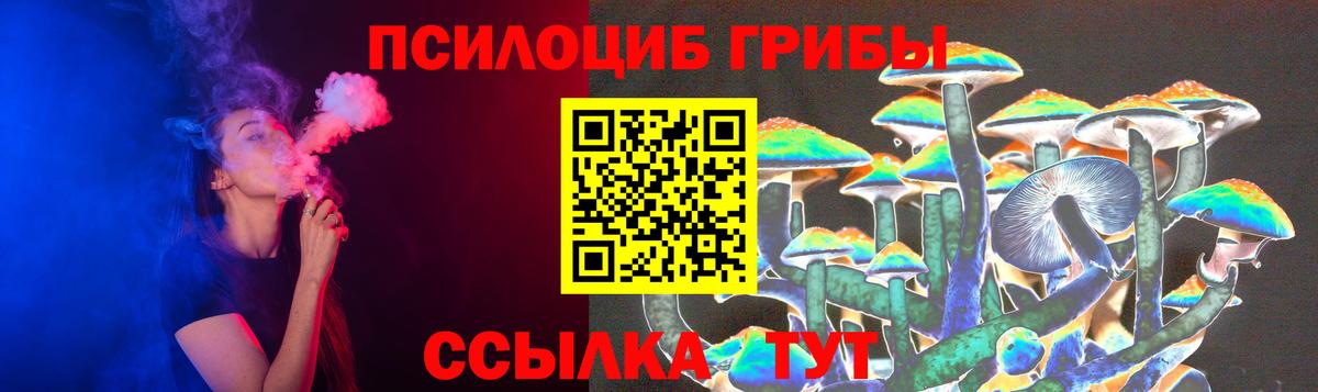 Галлюциногенные грибы MAGIC MUSHROOMS  Вход с VPN  Мариинск 